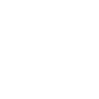 Vision Of Hair